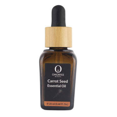 https://cdn.shopify.com/s/files/1/1857/6931/products/bCP6nlT6np.jpg?v=1640949796